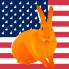 ORANGE-FLAG FLAG ROSE rabbit flag Showroom - Inkjet on plexi, limited editions, numbered and signed. Wildlife painting Art and decoration. Click to select an image, organise your own set, order from the painter on line